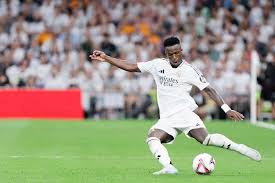 太阳队教练 太阳队教练